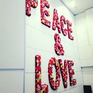 Meet your Posher, Jodie